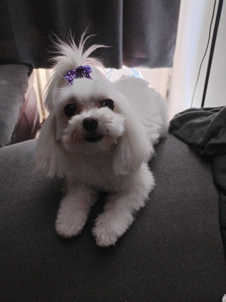 Lea