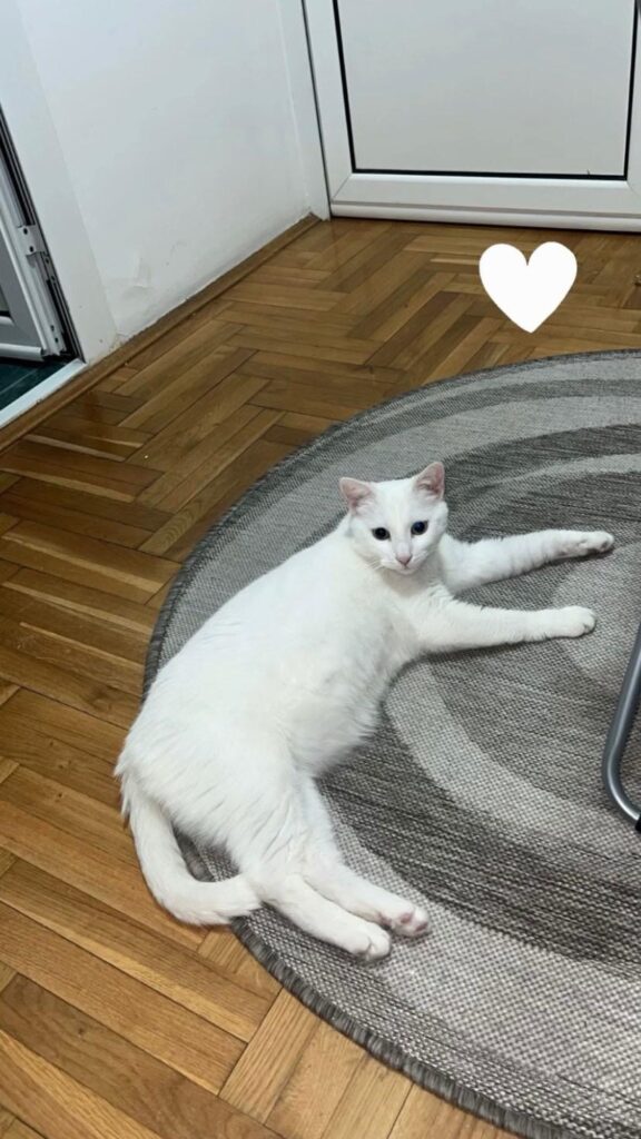 Lulu