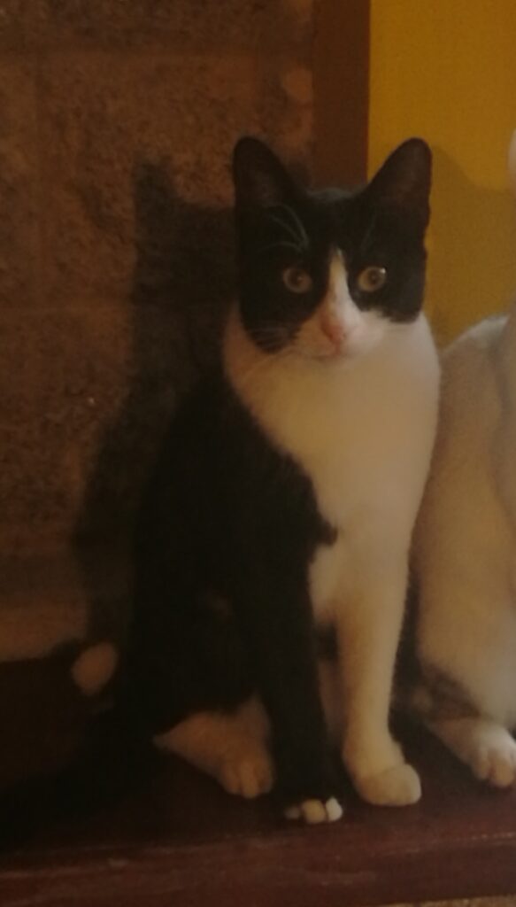 Gremi
